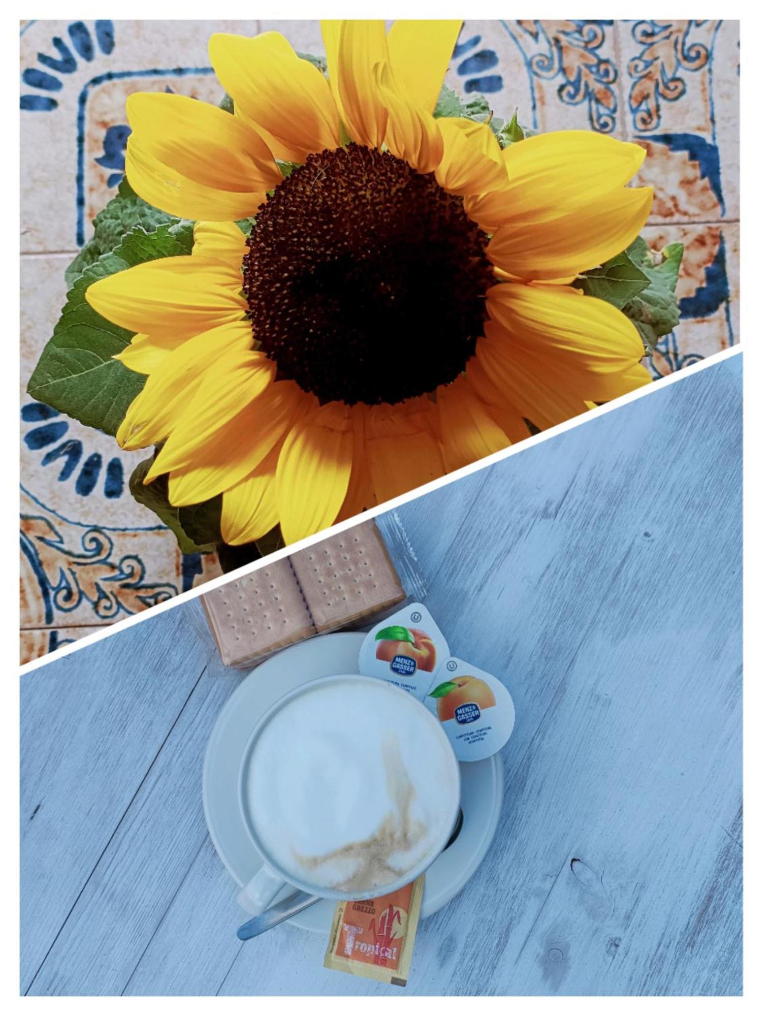 B&B Il Girasole Finale Ligure Exterior foto